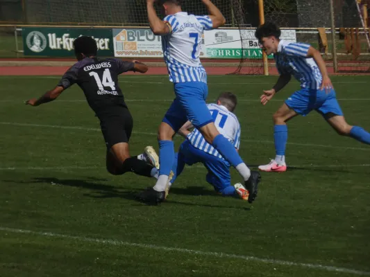 01.09.2024 SV Eintracht Elster vs. SV Edelweiß Arnstedt