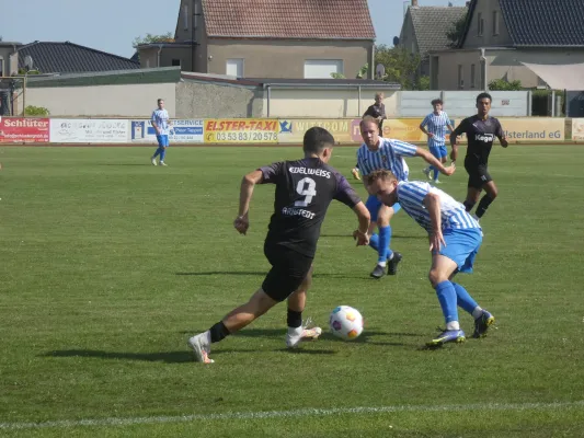 01.09.2024 SV Eintracht Elster vs. SV Edelweiß Arnstedt