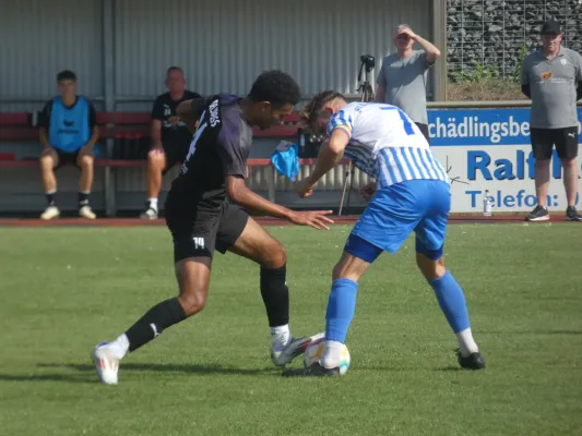 01.09.2024 SV Eintracht Elster vs. SV Edelweiß Arnstedt